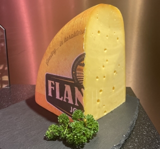 Flandrien-kaas-jong
